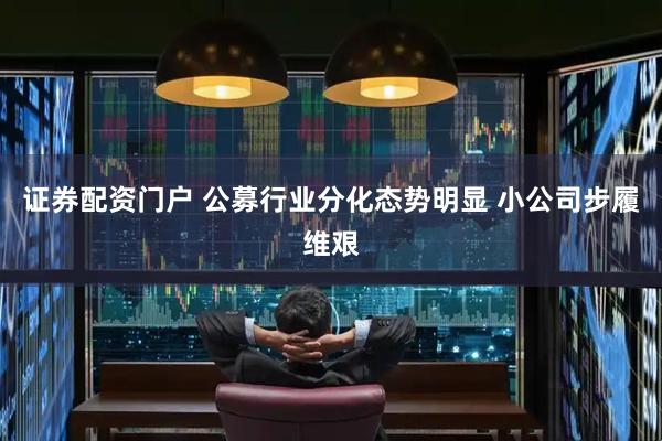 证券配资门户 公募行业分化态势明显 小公司步履维艰