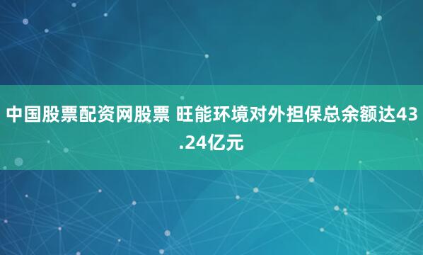 中国股票配资网股票 旺能环境对外担保总余额达43.24亿元